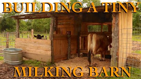 gay milking stories|The Milking Barn .